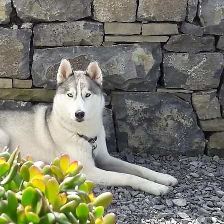 Cois Na Habhann Doolin Luaran gambar