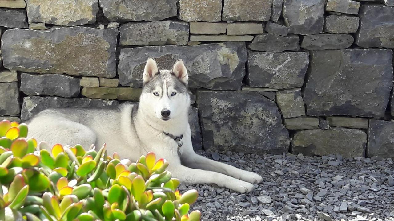 Cois Na Habhann Doolin Luaran gambar